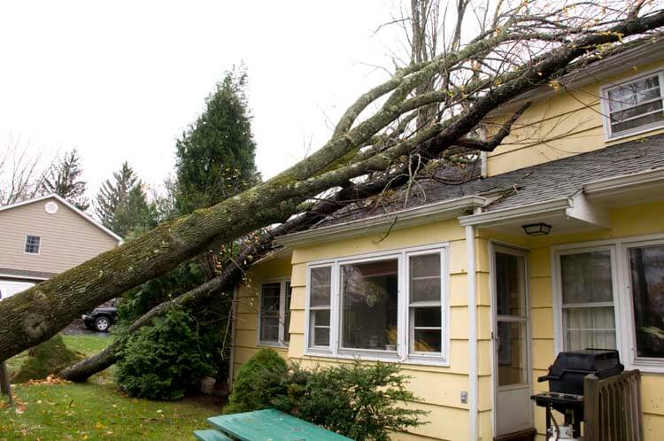 Storm Damage Restoration Services